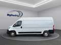 Fiat Ducato Kasten 35 140 L4H2 RS: 4035 mm Weiß - thumbnail 11