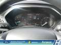 Ford Focus Active Navi Klimaaut CarPlay WLAN HU neu   Sitzhei Grau - thumbnail 15