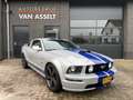 Ford Mustang USA 4.6 V8 GT Gris - thumbnail 1