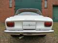 Alfa Romeo Giulia Sprint GT Kantenhaube Alb - thumbnail 11