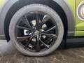 Volkswagen Taigo R-Line 1,5 l TSI AHK+KAMERA+NAVI+KLIMA+PDC Grün - thumbnail 4