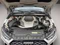 Audi RS4 RS4 Avant 2.9 TFSI Bianco - thumbnail 14