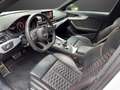Audi RS4 RS4 Avant 2.9 TFSI Bianco - thumbnail 8