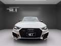 Audi RS4 RS4 Avant 2.9 TFSI Bianco - thumbnail 2