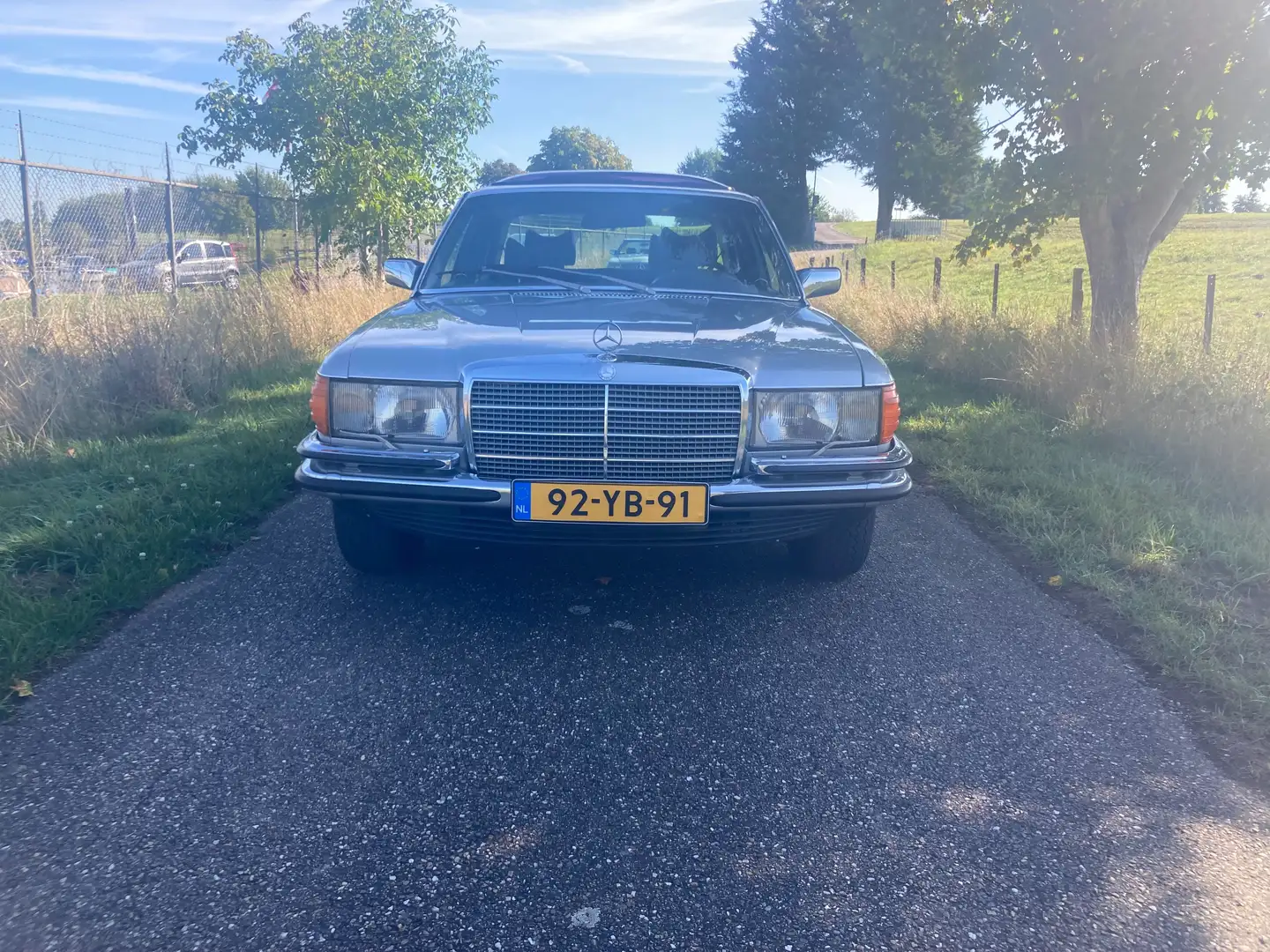 Mercedes-Benz 450 SE W116 Grau - 2