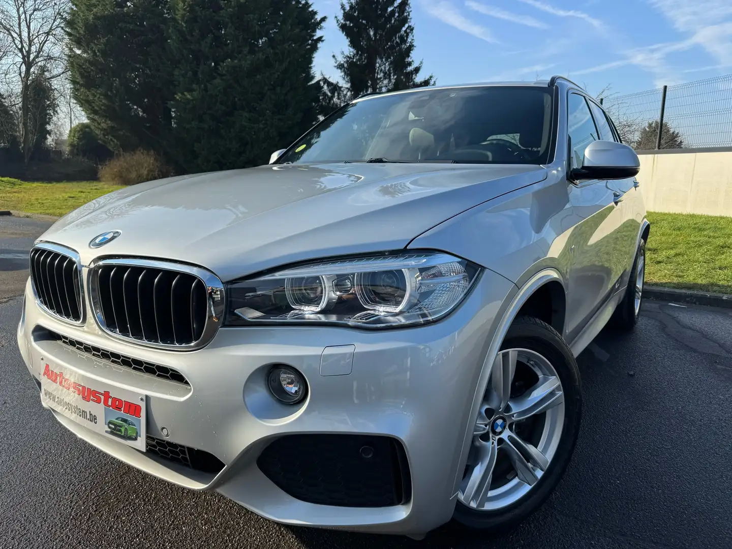 BMW X5 2.0 dAS sDrive25* M PACK*Garantie 1an*Carpass* Gris - 1