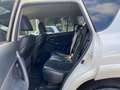 Toyota RAV 4 RAV4 Crossover D-4D DPF Exclusive*OTTIME CONDIZ. Blanco - thumbnail 23