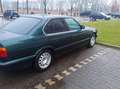 BMW 525 525i zelena - thumbnail 4