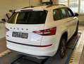 Skoda Kodiaq 2.0 TDI 4x4 Sportline *LED*KAMERA*NAVI*STANDH* Blanc - thumbnail 4