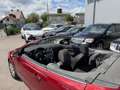 Ford Focus CC Focus Cabrio CC 1,6 Rot - thumbnail 6