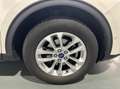 Ford Kuga 1.5 EcoBoost Titanium X | Trekhaak Afneembaar | Wi Wit - thumbnail 22