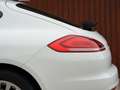 Porsche Panamera Panamera PDK Bianco - thumbnail 5