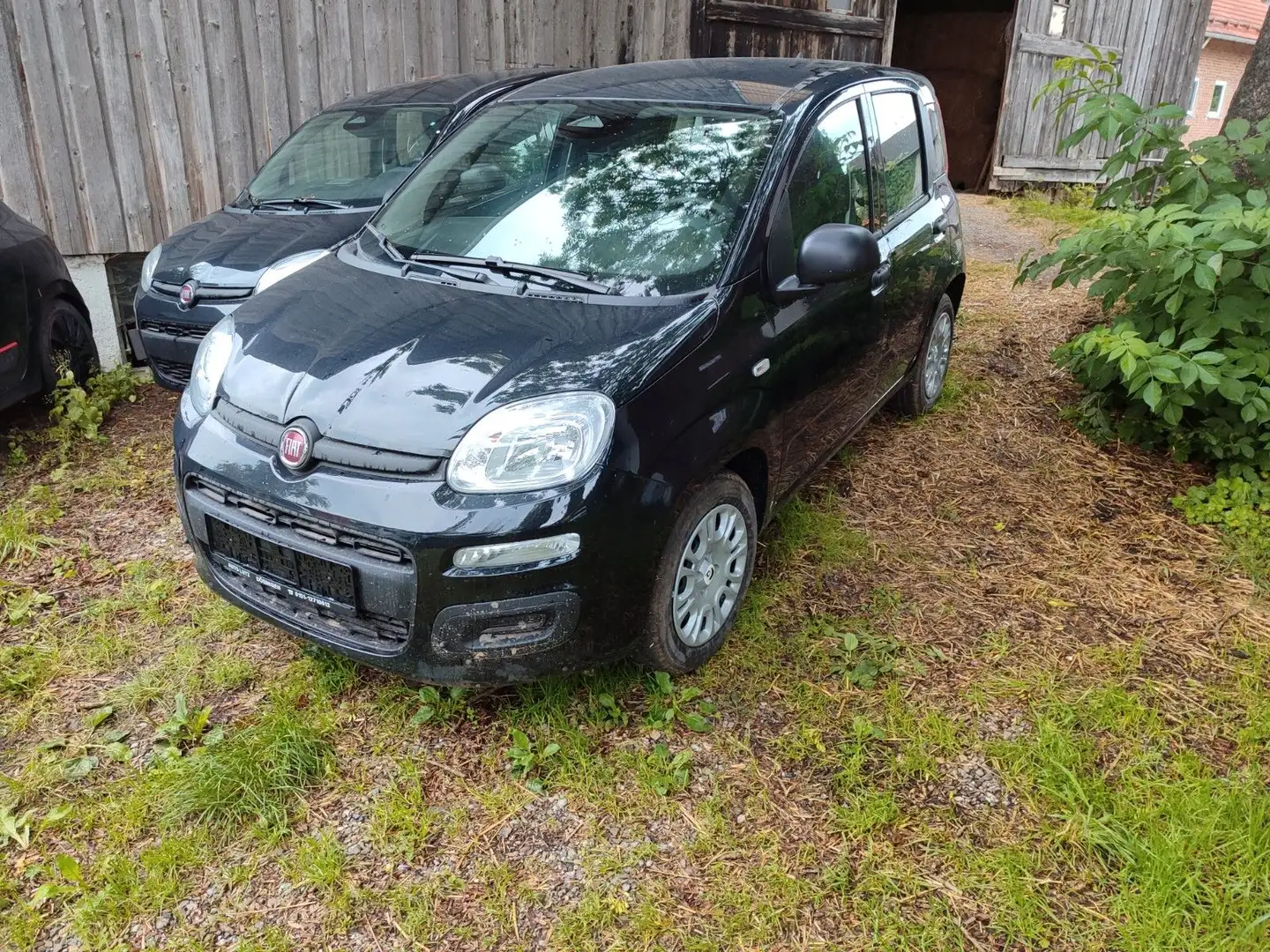 Fiat Panda 1.0 GSE Hybrid Noir - 1
