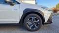 Subaru Crosstrek 2.0i CVT eBoxer Style 4x4 - Unico Proprietario Blanc - thumbnail 6