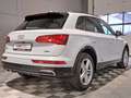 Audi Q5 40 TDI S-Line Quattro Sport°AHK°RFK°LED°Shzg° Wit - thumbnail 4