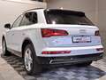 Audi Q5 40 TDI S-Line Quattro Sport°AHK°RFK°LED°Shzg° Wit - thumbnail 7