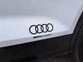 Audi Q5 40 TDI S-Line Quattro Sport°AHK°RFK°LED°Shzg° Wit - thumbnail 12