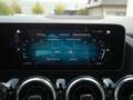 Mercedes-Benz B 250 Urban MULTIBEAM DISTR+ PANO KAMERA CARPLAY Grau - thumbnail 22