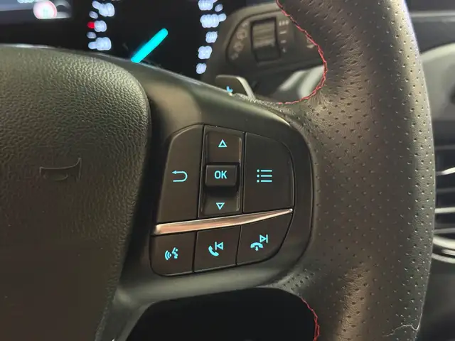 Ford Focus view 22