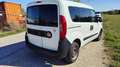 Fiat Doblo Cargo DPF WORK UP Weiß - thumbnail 4