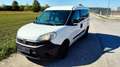 Fiat Doblo Cargo DPF WORK UP Weiß - thumbnail 1