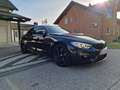 BMW M4 M4 Cabrio M-DKG Aut. (F83) Schwarz - thumbnail 12