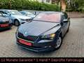 Skoda Superb TDI DSG/ACC Distronic/Spur/TotWinkel/Kam Grau - thumbnail 33