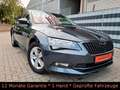 Skoda Superb TDI DSG/ACC Distronic/Spur/TotWinkel/Kam Grau - thumbnail 29