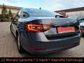 Skoda Superb TDI DSG/ACC Distronic/Spur/TotWinkel/Kam Grau - thumbnail 31