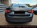 Skoda Superb TDI DSG/ACC Distronic/Spur/TotWinkel/Kam Grau - thumbnail 25