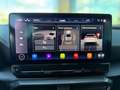 CUPRA Formentor VZ5 2.5 TSI 4Drive *360°*BEATS*BUCKET SEATS*MATT* Silber - thumbnail 29