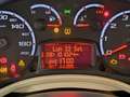 Ford Ka/Ka+ 1.2 BENZINA 69 HP NEOPATENTATI Bianco - thumbnail 13