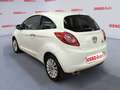 Ford Ka/Ka+ 1.2 BENZINA 69 HP NEOPATENTATI Bianco - thumbnail 4