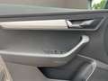 Skoda Karoq 2.0TDI Adblue Ambition 85kW Gris - thumbnail 11
