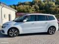 Citroen C4 SpaceTourer C4 Spacetourer PureTech 130 S\u0026amp;S EAT8 Biały - thumbnail 4