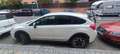 Subaru XV XV 1.6 Sport Sport Blanco - thumbnail 2