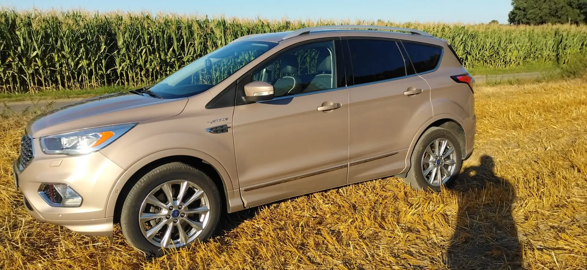 Ford Kuga 2.0 TDCi 4x4 Aut. Vignale Beige - 1