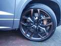 CUPRA Ateca 2.0 TSI 4Drive TRIBE BREMBO AHK PANO 20 Grau - thumbnail 5