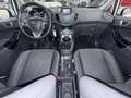Ford Fiesta 5p 1.2 Black&White 60cv Blanc - thumbnail 10