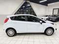 Ford Fiesta 5p 1.2 Black&White 60cv Blanc - thumbnail 7
