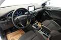 Ford Focus Turnier 1.5 Eco Blue NAVI*W-PAKET*LED*PDC Weiß - thumbnail 13
