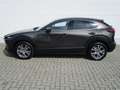 Mazda CX-30 2.0l Skyactiv-X Takumi Leder Schwarz NEU Weiß - thumbnail 4
