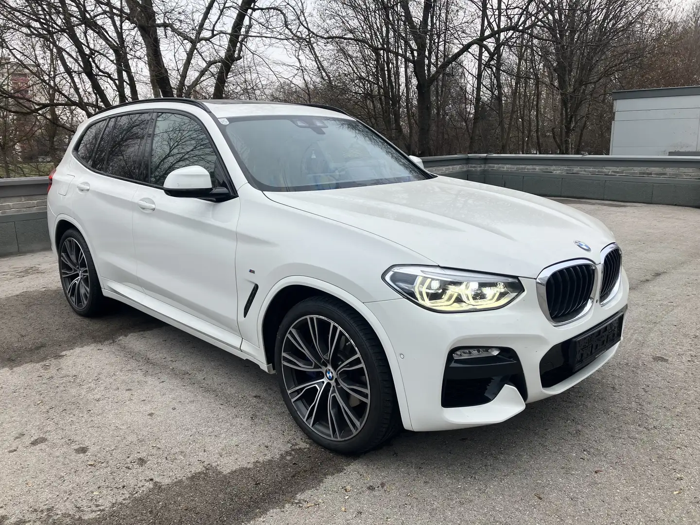 BMW X3 M xDrive30d Sport Aut. Weiß - 1