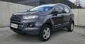 Ford EcoSport 1,0 EcoBoost Trend Grau - thumbnail 3