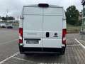 Fiat Ducato H3 Kastenwagen 40 L4H3 180 SZH/RKF/ Blanc - thumbnail 5