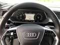 Audi e-tron Sportback 50 quattro advanced,MATRIX,TOUR Weiß - thumbnail 15