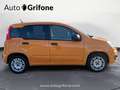 Fiat Panda Panda 1.2 Easy Orange - thumbnail 6