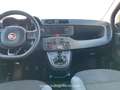 Fiat Panda Panda 1.2 Easy Orange - thumbnail 11
