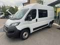 Fiat Ducato 2.3MJT MH2 2Cab 140cv 7Posti 2200x1400x1950 kg1105 Bianco - thumbnail 3
