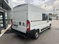 Fiat Ducato 2.3MJT MH2 2Cab 140cv 7Posti 2200x1400x1950 kg1105 Bianco - thumbnail 5